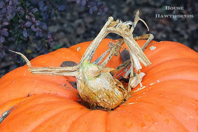 Giant pumpkins for fall decor @ houseofhawthornes.com