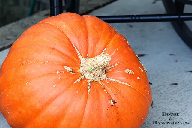 Giant pumpkins for fall decor @ houseofhawthornes.com