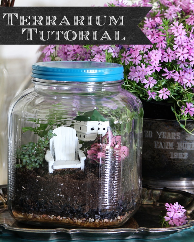 Terrarium tutorial - vintage looking terrarium made out of glass cracker jar from Walmart Terrarium tutorial - vintage looking terrarium made out of glass cracker jar from Walmart