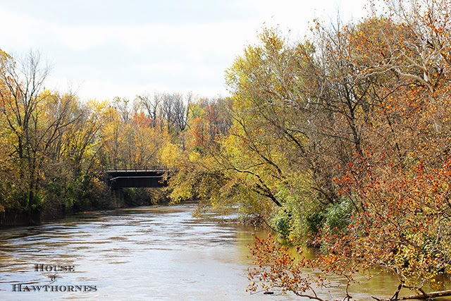 Beautiful fall foliage