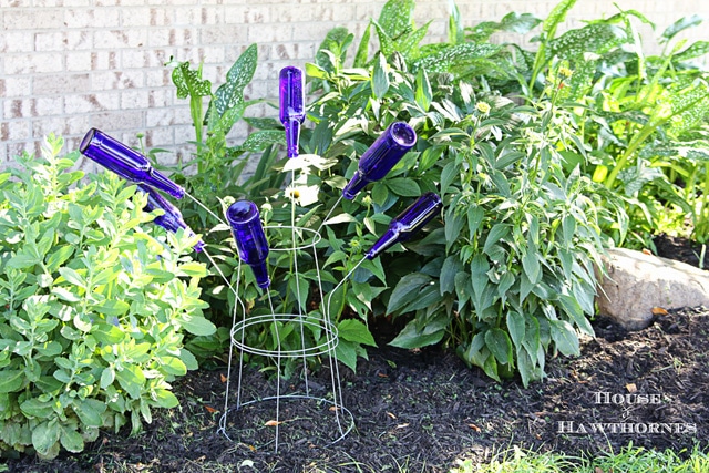 Bottle tree made from tomato cage