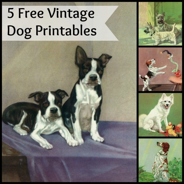 Vintage dog printables for crafting or framing