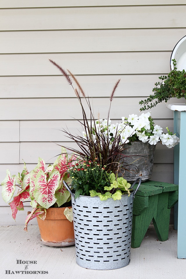 Shows you how to trade out a few plants in your summer container gardens to take them into the fall season in style! 