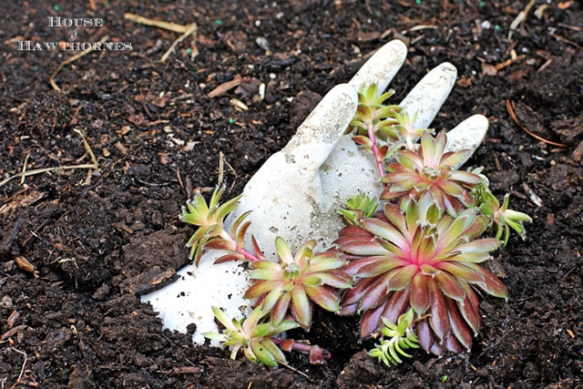 DIY hypertufa hand tutorial for your garden (hypertufa is light weight concrete like substance)