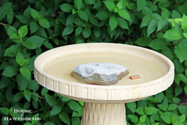 Using copper in your birdbath to keep it cleaner for longer. It really works!