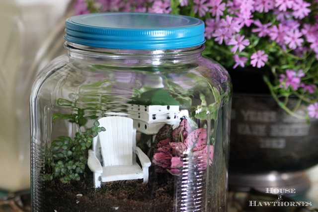 How to Choose the Right DIY Terrarium Containers - Terrarium Tribe