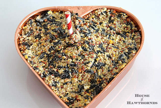 DIY Birdseed Suet Cakes For Our Feathered Friends - these make great hostess and teacher gifts too!