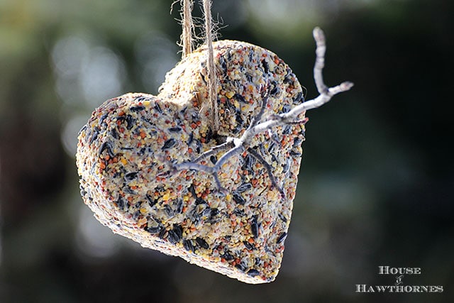 DIY Birdseed Suet Cakes For Our Feathered Friends - these make great hostess and teacher gifts too!