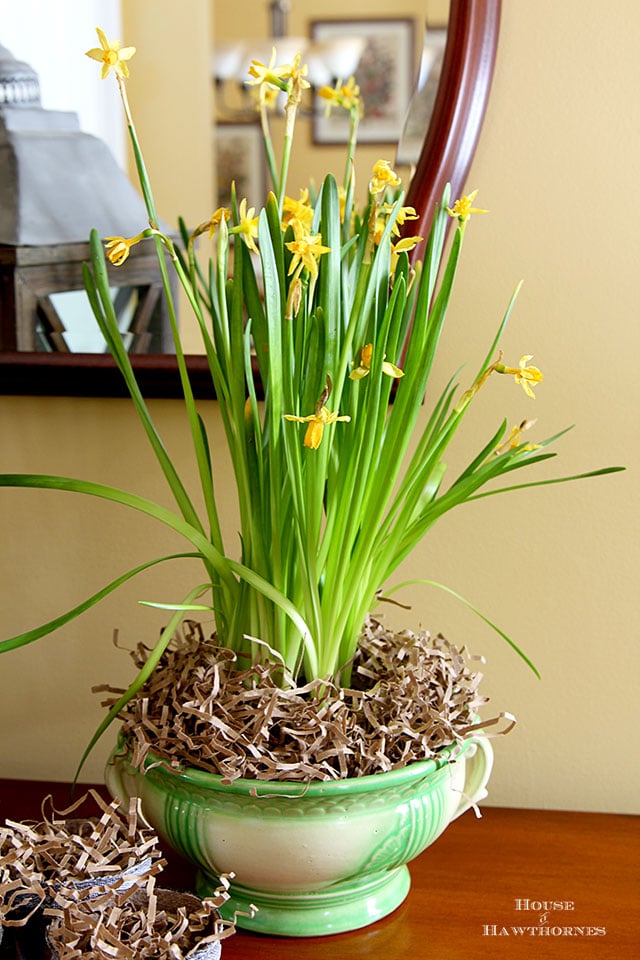 Spring peat pots made with a faux zinc finish and lamb design