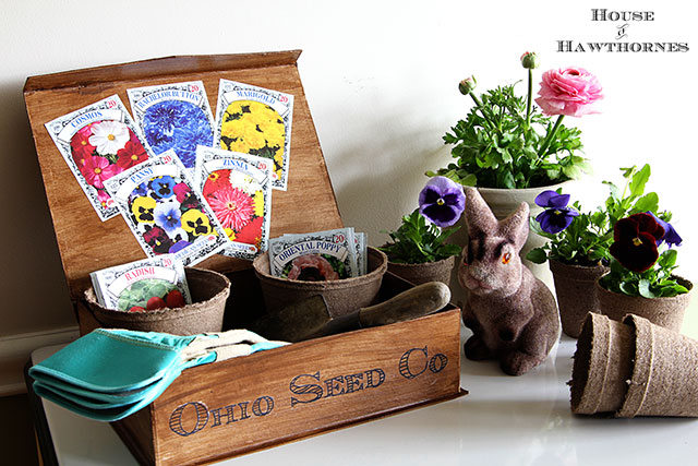 DIY Vintage Seed Box - House of Hawthornes