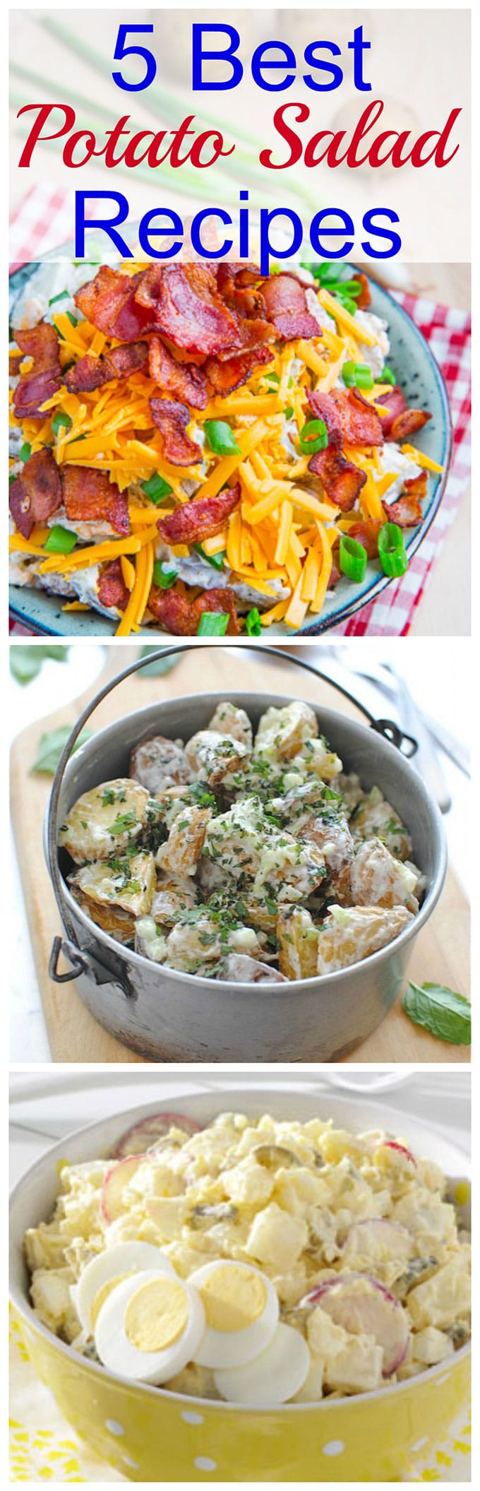 5 of the BEST potato salad recipes for your summer picnics. Impress your friends and family at your next get together with one of these unique recipes!