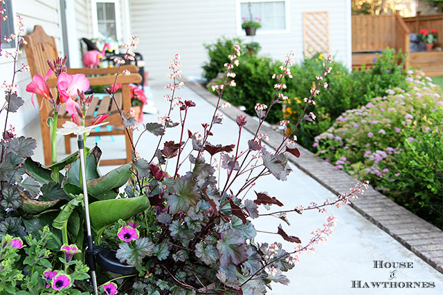 Summer porch planter with Tropical Rose Canna, Pretty Much Picasso Supertunia and Harvest Burgundy Coral Bells