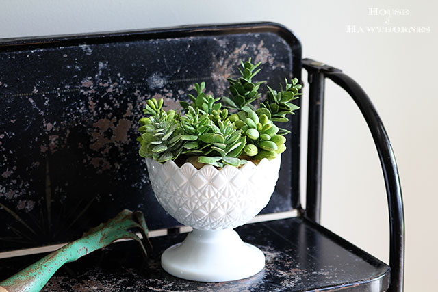 Using rubber succulents in your home decor. Includes a very simple tutorial to create a succulent dish. via houseofhawthornes.com