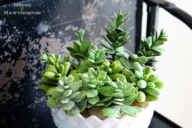 Using rubber succulents in your home decor. Includes a very simple tutorial to create a succulent dish. via houseofhawthornes.com