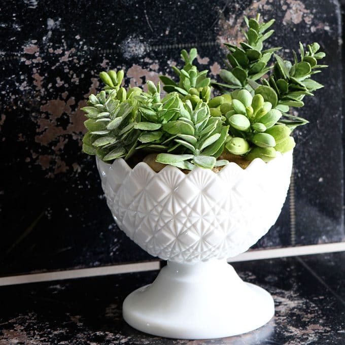 Using rubber succulents in your home decor. Includes a very simple tutorial to create a succulent dish. via houseofhawthornes.com