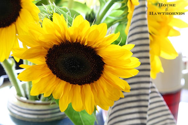 Sunflower vignette using vintage picnic jug, thermoses and twig sailboat