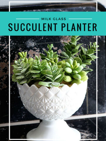 Using a milk glass bowl as a succulent planter.