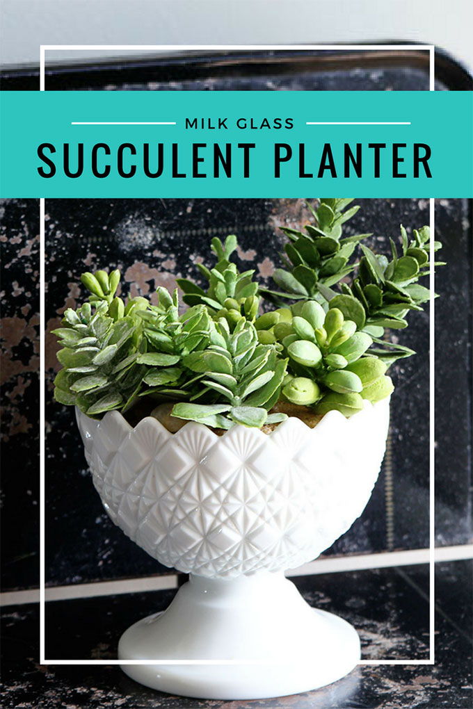 Quick and easy succulent planter made from a repurposed milk glass candy dish. We used faux succulents, but you could use live plants.