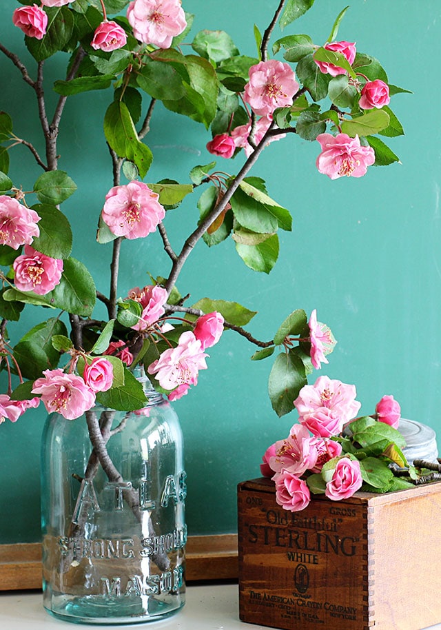 Gorgeous crabapple blooms against a green chalkboard