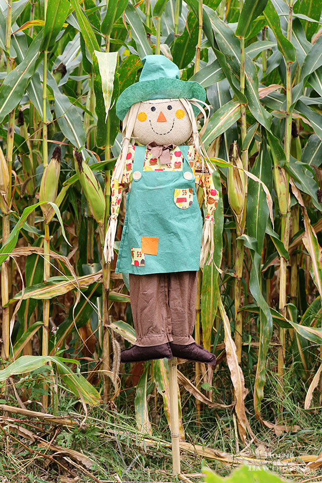 DIY scarecrow for fall decor. Used an inexpensive JoAnn Fabrics' stick scarecrow and dolled her up! via houseofhawthornes.com