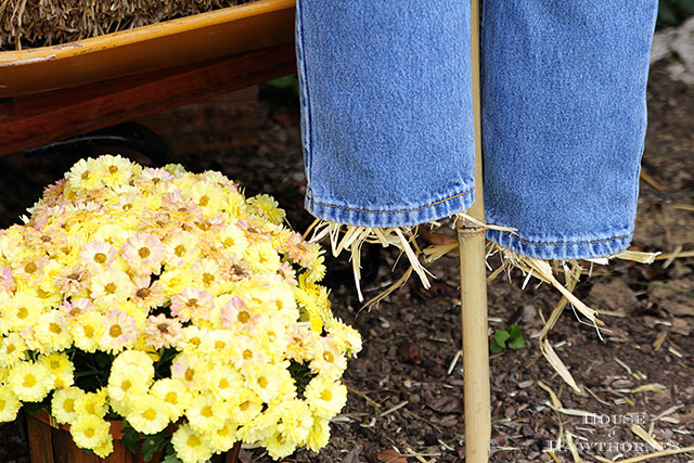 DIY scarecrow for fall decor. Used an inexpensive JoAnn Fabrics' stick scarecrow and dolled her up! via houseofhawthornes.com