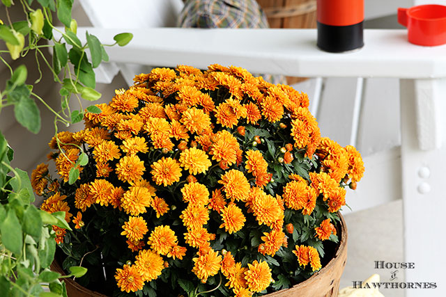 Eclectic Vintage Farmhouse Rustic Fall Porch via houseofhawthornes.com