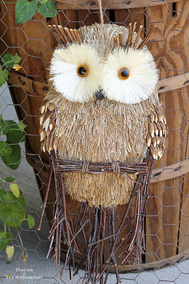 Tired of your traditional fall wreath? Make a framed chicken wire owl for your door instead. A super quick and easy fall home decor DIY project.