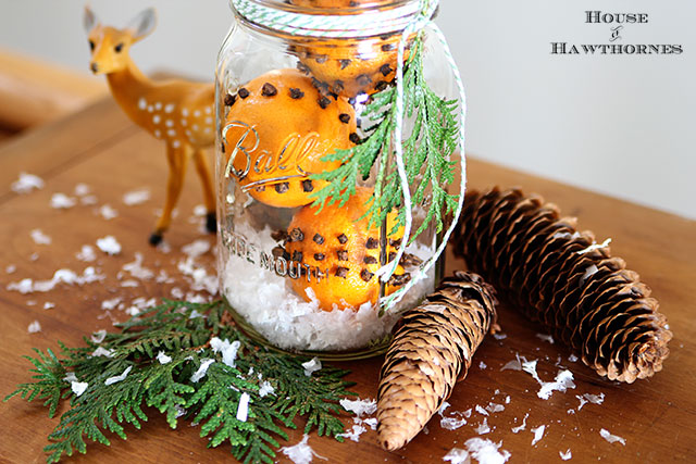 "How to make cloved orange pomander balls for Christmas - (really they're clementine oranges). They make a great holiday hostess or teacher gift.