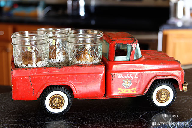 Mason jars full of paperwhites in a red toy truck.