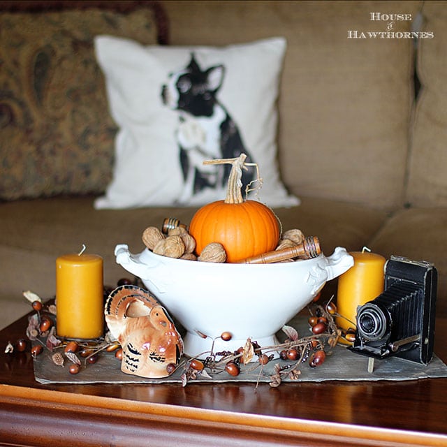 Learn how to make simple Thanksgiving table decor using stuff found at thrift stores or around the house. More personality than a store bought centerpiece!