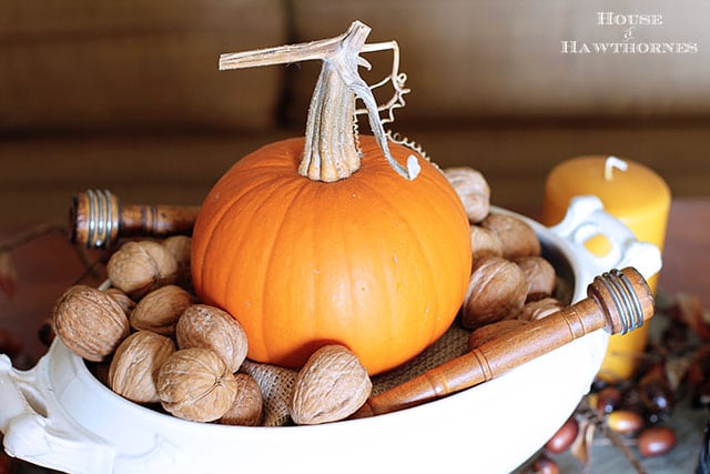 Learn how to make simple Thanksgiving table decor using stuff found at thrift stores or around the house. More personality than a store bought centerpiece!