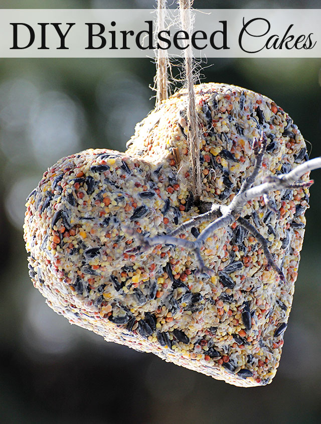 DIY Birdseed Suet Cakes House of Hawthornes