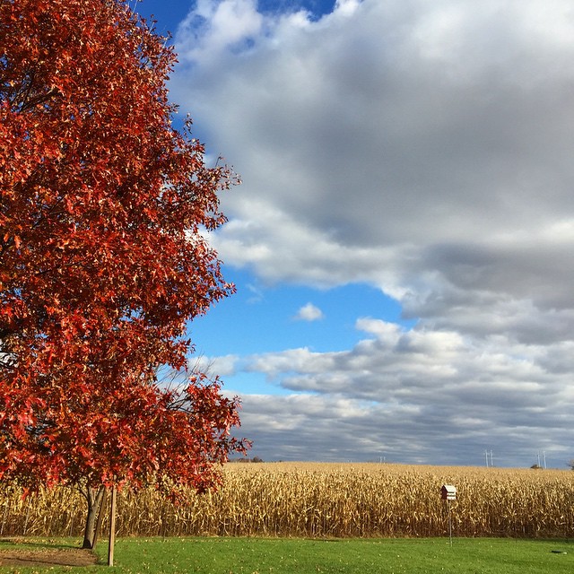 Fall foliage and stormy skies