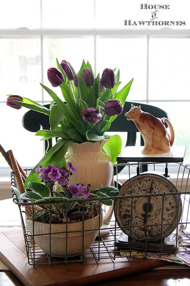 How To Care For Cut Tulips No More Drooping how-to-care-for-cut-tulips-no-more-drooping