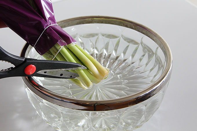 Cutting tulips with sharp scissors in a bowl of ice water to ensure tulips will last longer.