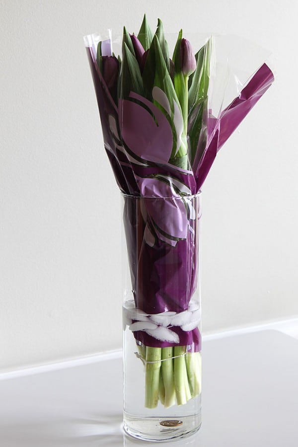 How To Care For Cut Tulips No More Drooping