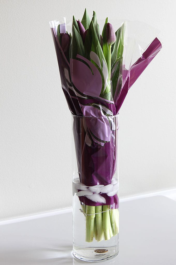 Putting fresh-cut tulips in a tall narrow vase to reduce drooping.