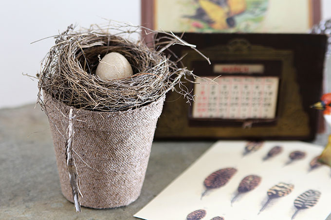 Vintage bird nest home decor for your spring vignettes