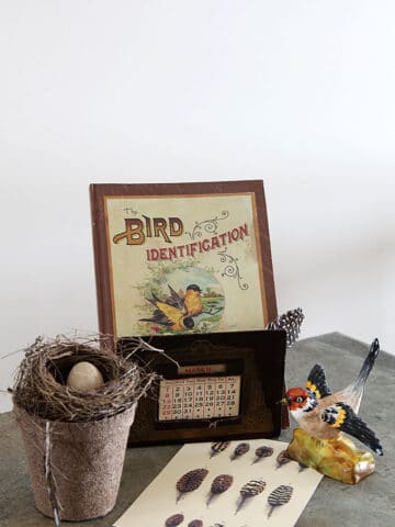 Vintage Spring Bird Vignette