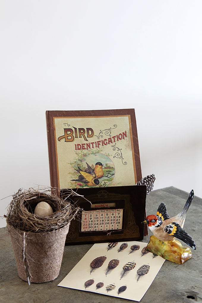 Vintage bird nest home decor for your spring vignettes