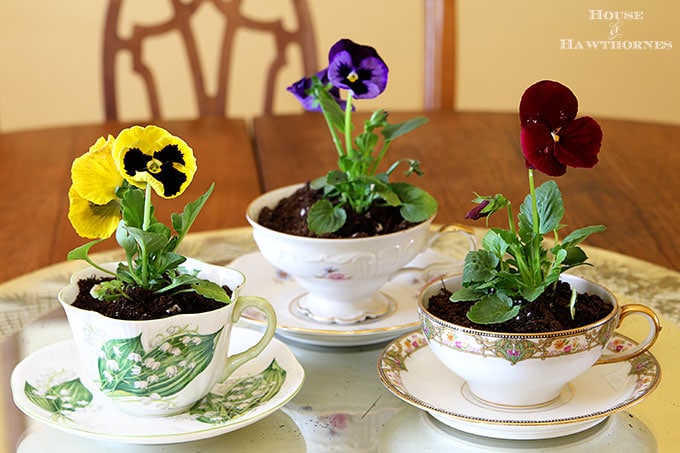 Inexpensive spring table decor