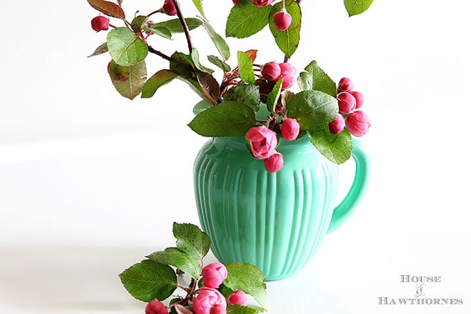 Pink crabapple blossoms in a jadeite green pitcher