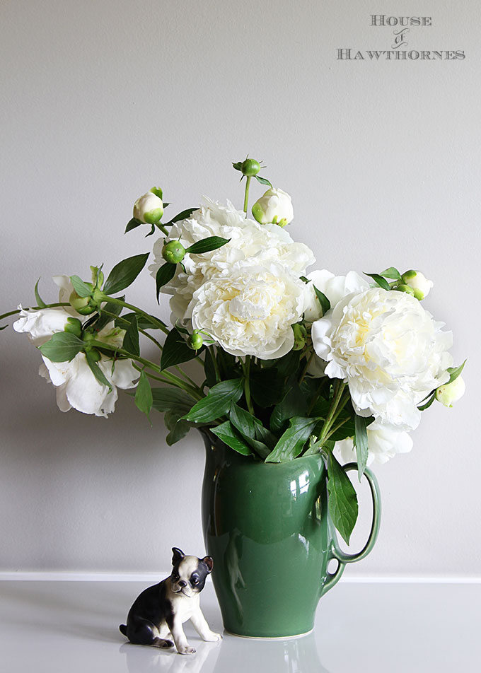 Duchess de Nemours Peonies in a vintage green vase.