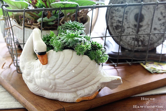 Kitschy vintage swan planter filled with succulents 