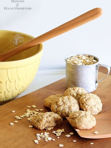 This is the best recipe for soft and chewy oatmeal cookies! Super easy to make and no electric mixers involved, so kids can help make them too.