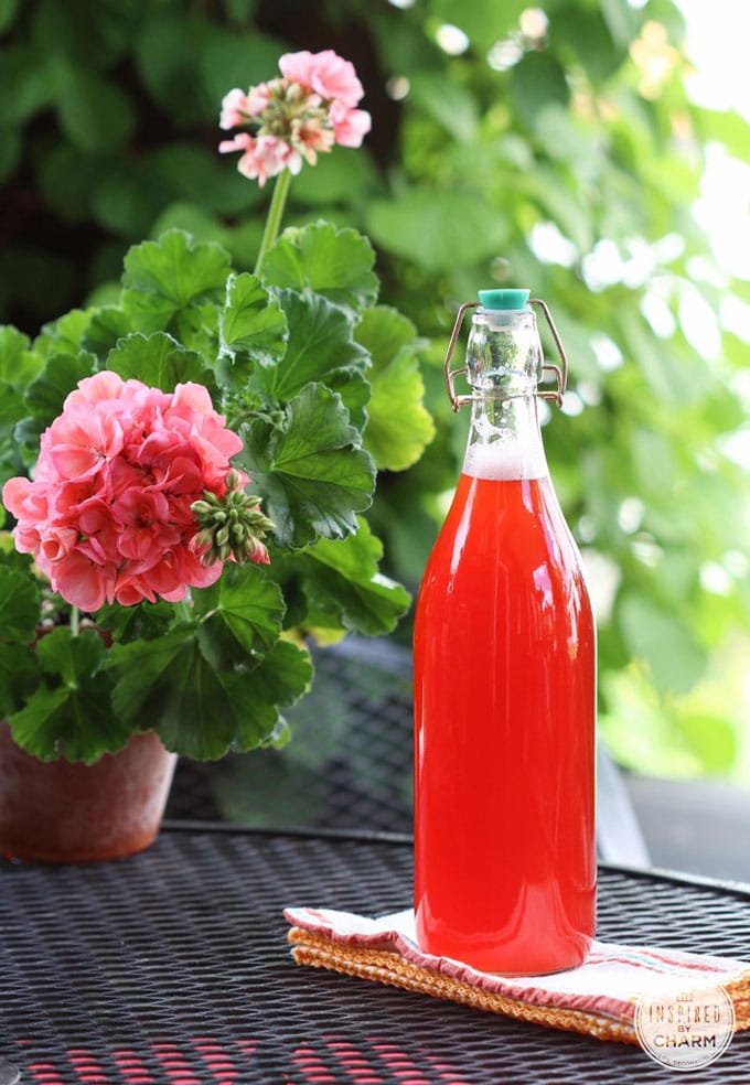 Strawberry rhubarb syrup