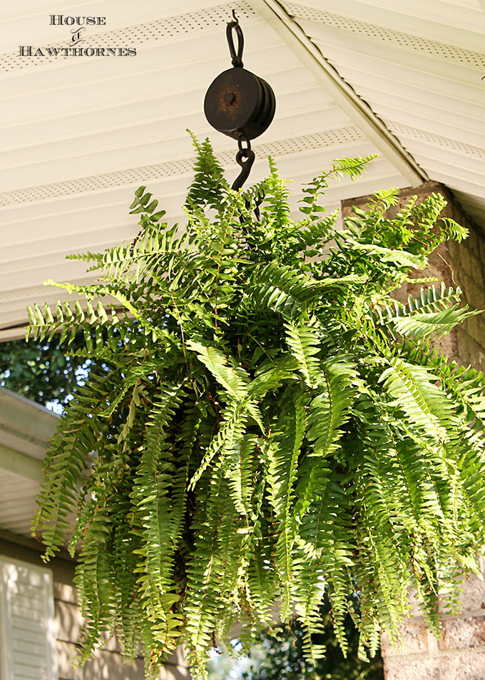 Summer porch decorating ideas and inspiration using farmhouse touches, vintage items, plenty of annual flowers and a healthy dose of patriotic decor. 