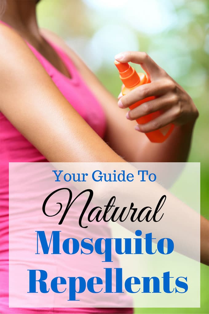 Natural ways to repel mosquitoes without bug spray, including plants that repel mosquitoes, DIY mosquito repellent recipe, and homemade citronella candles.