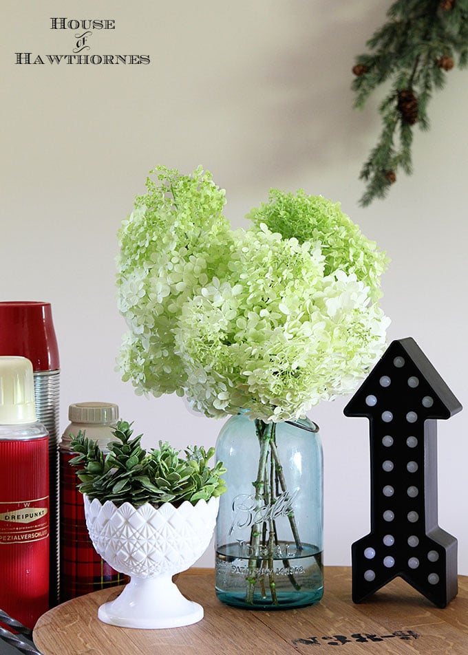 Dried Hydrangeas, Preserved Hydrangea