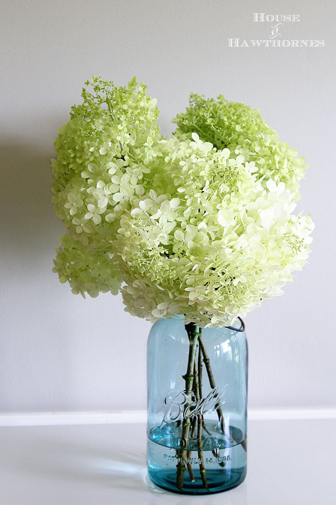 Your guide to drying hydrangeas. It doesn't get easier than this!